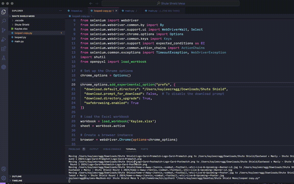 video of how selenium would run