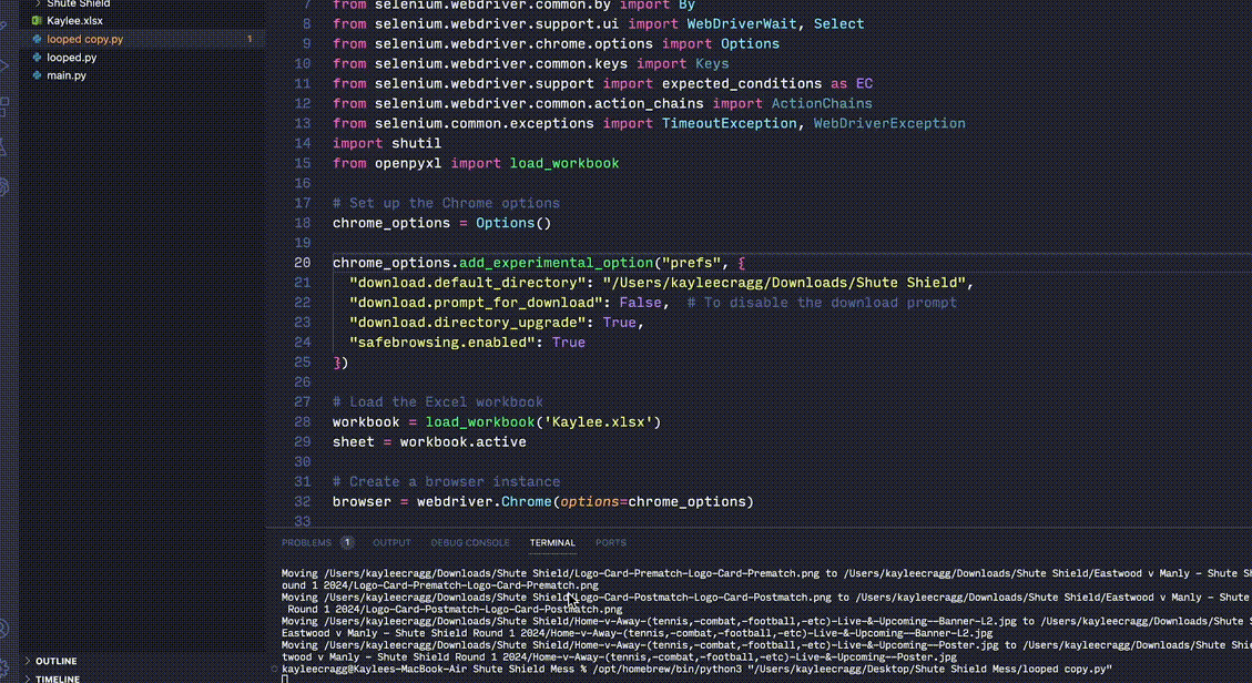 video of how selenium would run